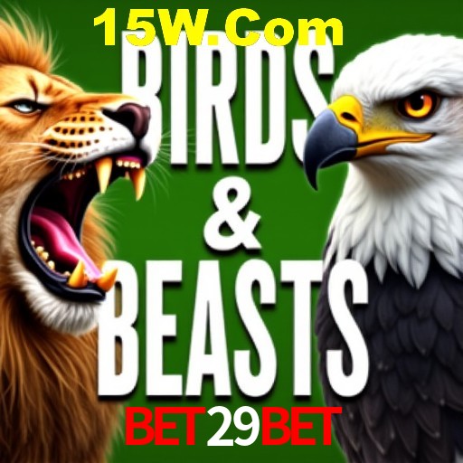Interface do App bet29bet